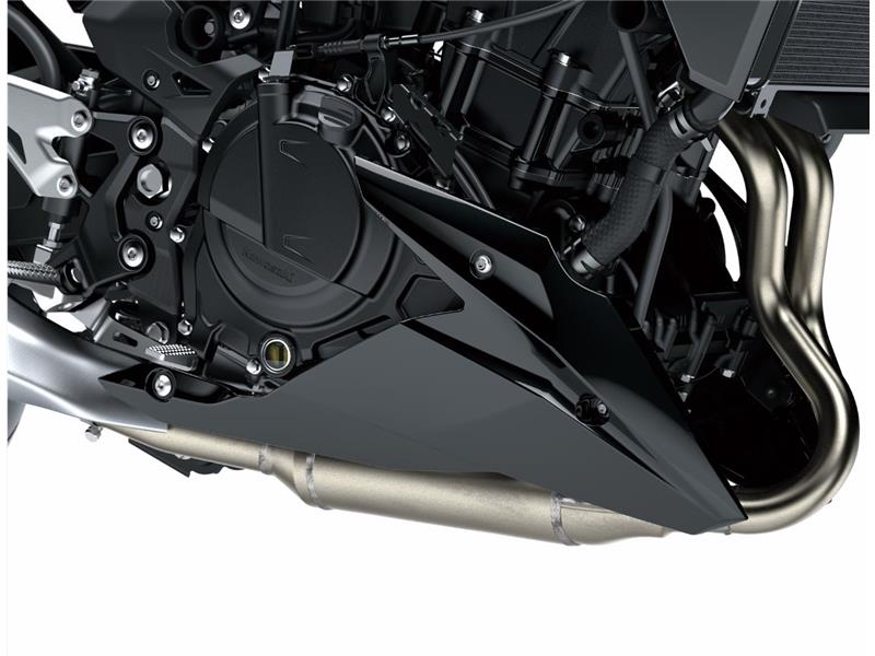 Lower cowling (Belly pan)-image