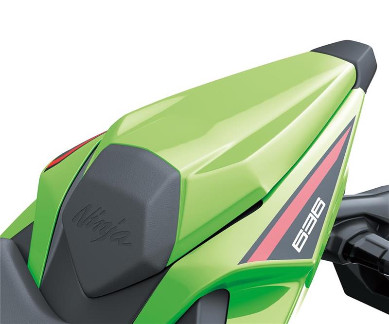 Pillion seat cover-image