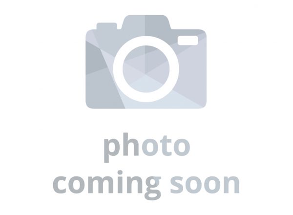 2022 Kawasaki EJ800CKF CAFE GREY
